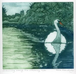 I saw this swan when I was rowing along the river Waveney.